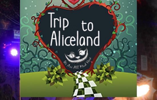 2026 Trip To Alice Land