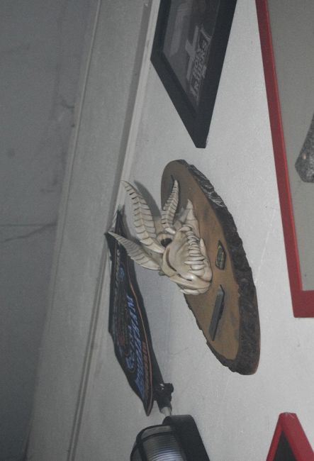 Straight Vision  WL 31