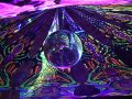 Trip To Alice Land 2026 060