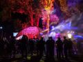 Tribal NRG Free Spirit Festivals 2018 Techno Musik freunde feiern Wiesensteig 15