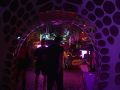 Trip to Alice Land 23
