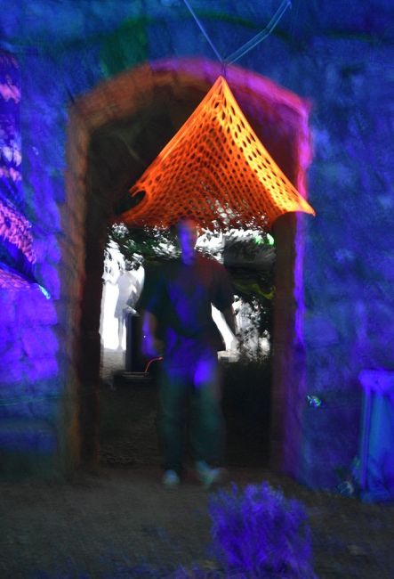 Trip to Alice Land 29