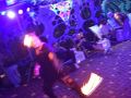 Trip to Alice Land 51